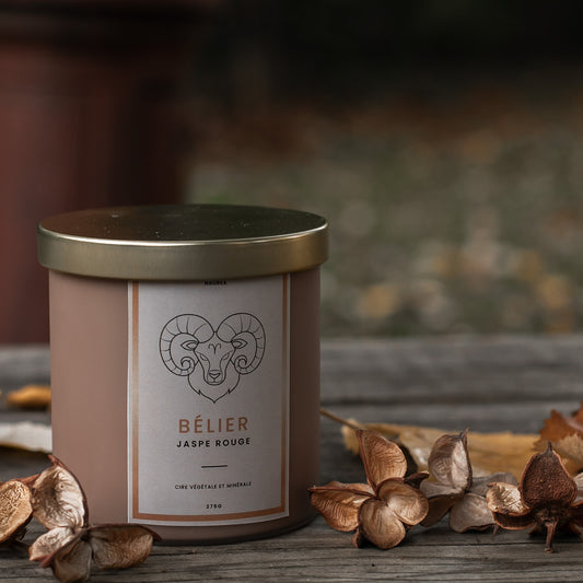 ✨ Astro Bélier ✨