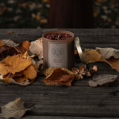 ✨ Astro Bélier ✨